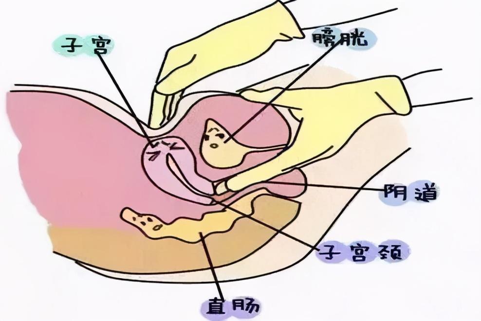 最新妇科检查，女性健康的关注与守护