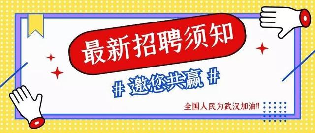 汤原最新招聘动态与就业市场深度解析