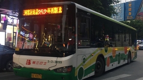 Bus 222最新动态，引领公共交通创新前沿