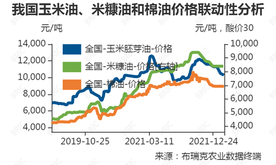 棉油最新价格动态解析