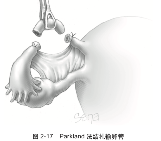 纯白梵唱 第3页