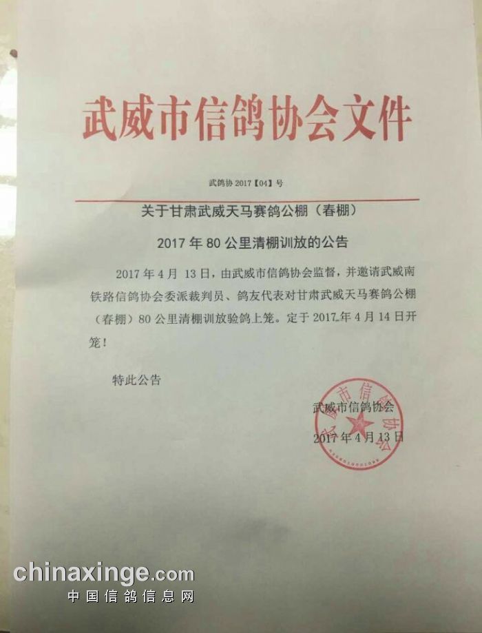 灵武信鸽协会最新公告发布，内容摘要与活动更新