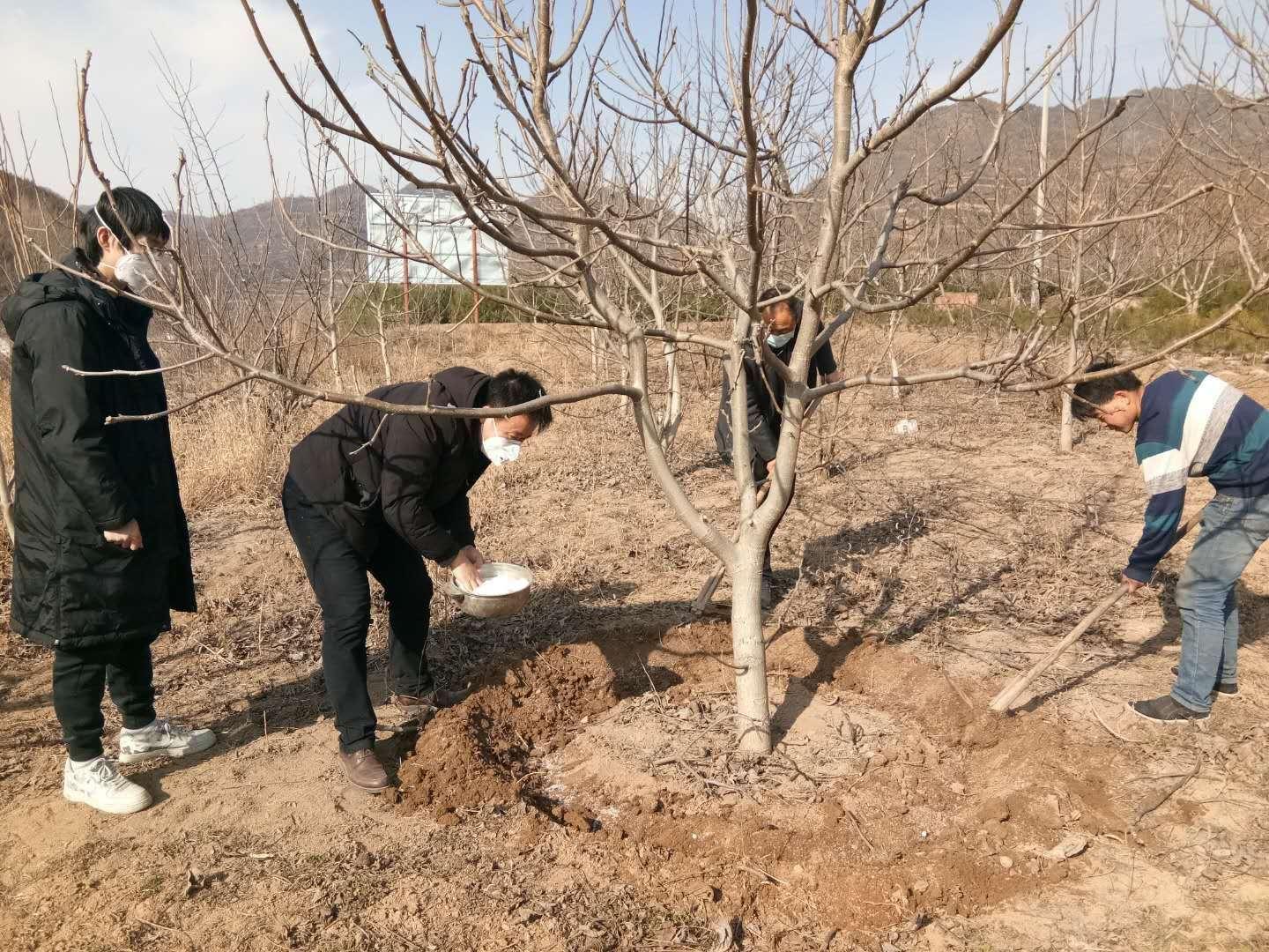 陈仓最新招聘动态与就业市场深度解析