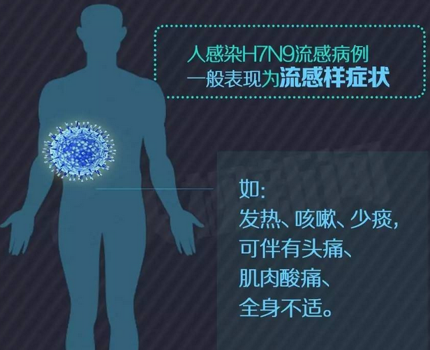 H1N1流感最新动态，症状深度解析与应对策略（2017观察报告）