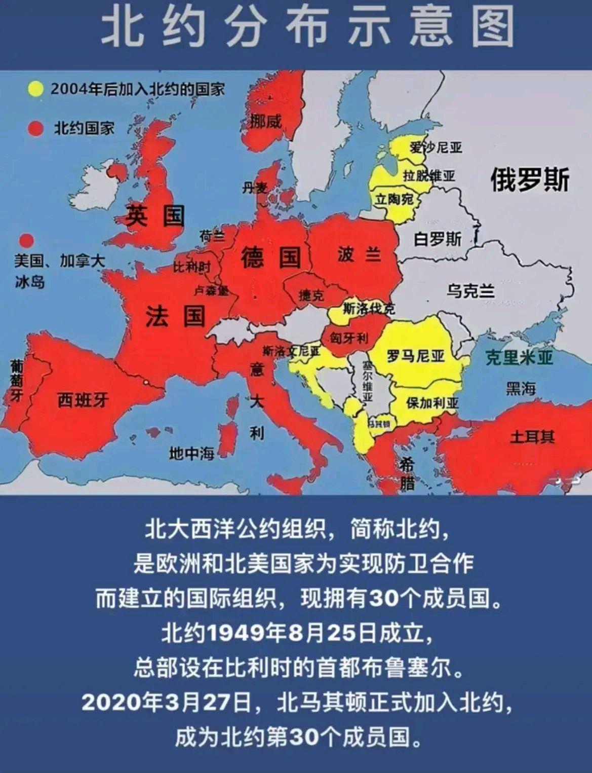 俄乌局势最新动态分析，涉政问题深度解读