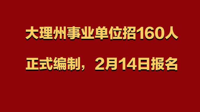 云南大理招聘网最新招聘动态深度解读与解析报告