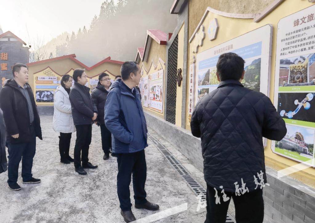 石柱土家族自治县文化局领导团队探索与实践文化事业发展之路