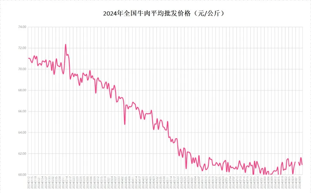 最新牛价动态及农业市场影响分析