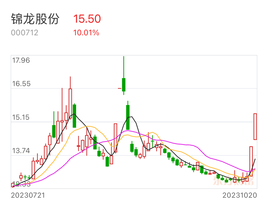 锦龙股份最新动态全面解析