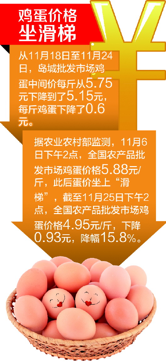 鸡蛋市场最新动态，今日走势、产业洞察与未来展望