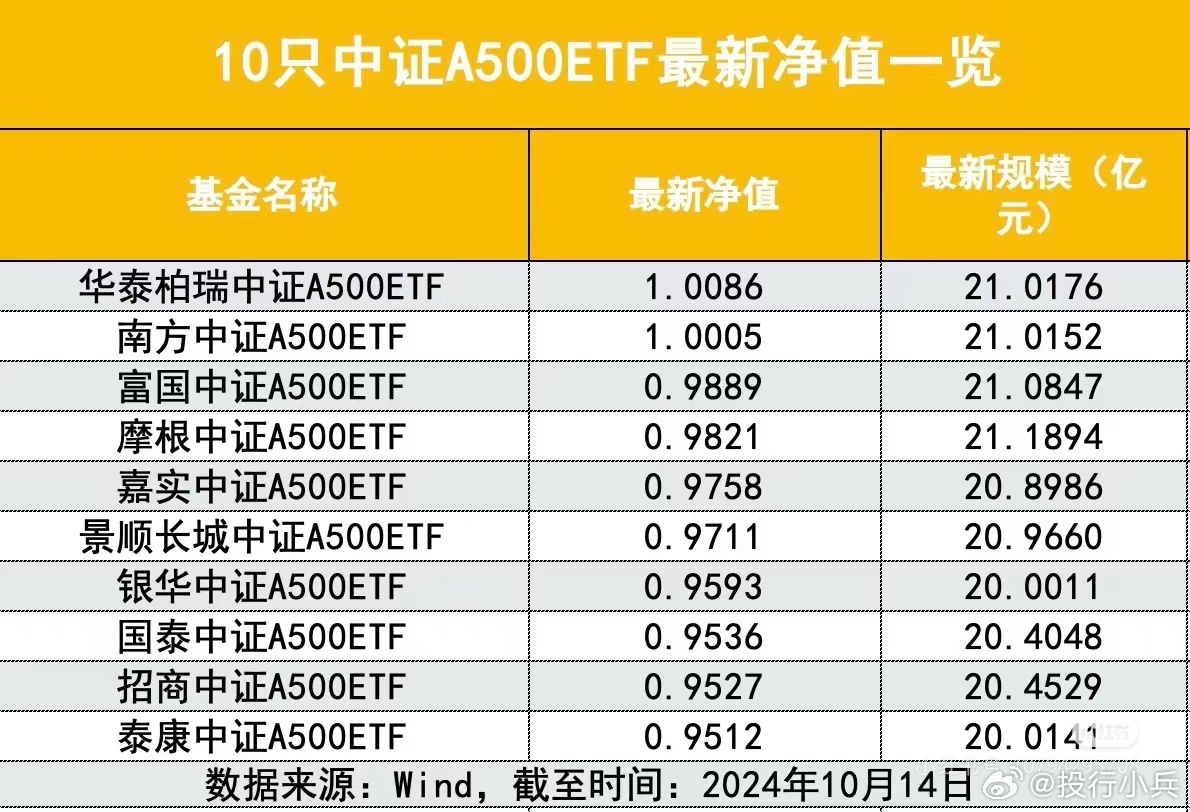 最新净值，含义与重要性的深度解析