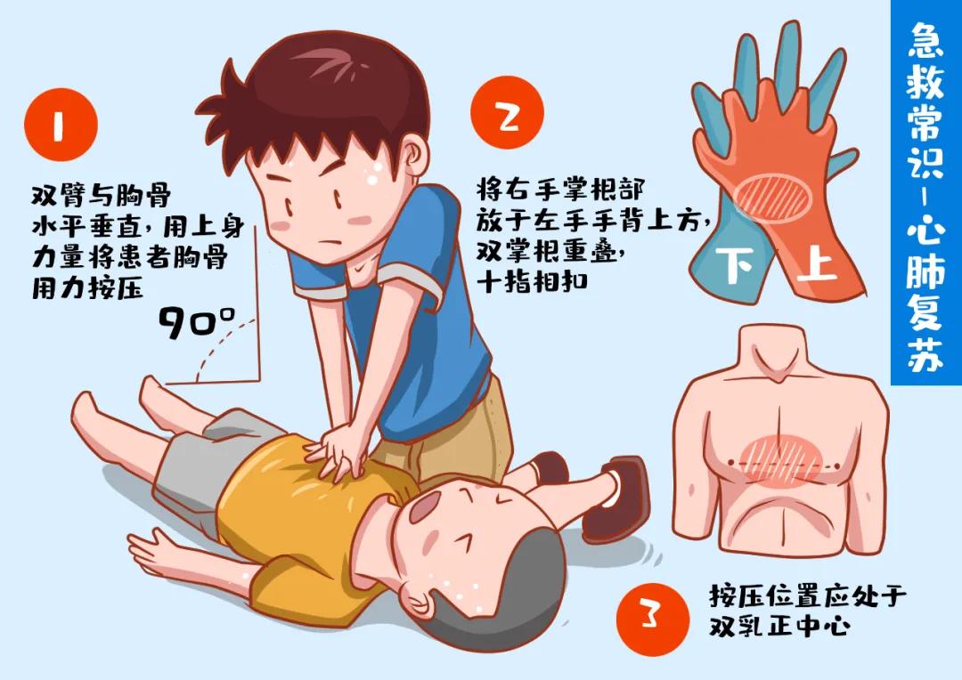 心肺复苏最新指南，拯救生命的操作手册