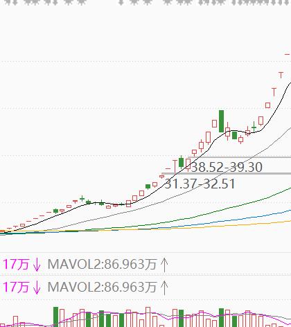 冯柳最新持股动向揭秘，深度探究与未来前景展望