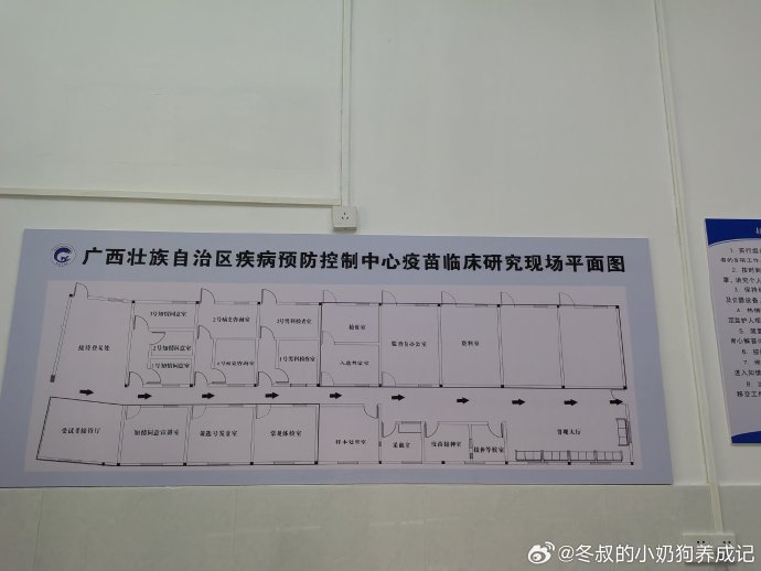 武鸣县防疫检疫站最新项目进展及其社会影响分析