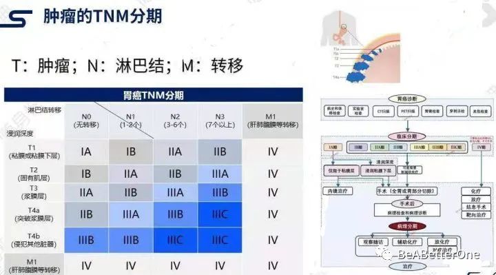 最新TNM分期标准在肿瘤诊疗中的应用及意义解析