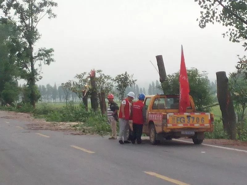 陆坊乡现代化交通网络构建最新动态