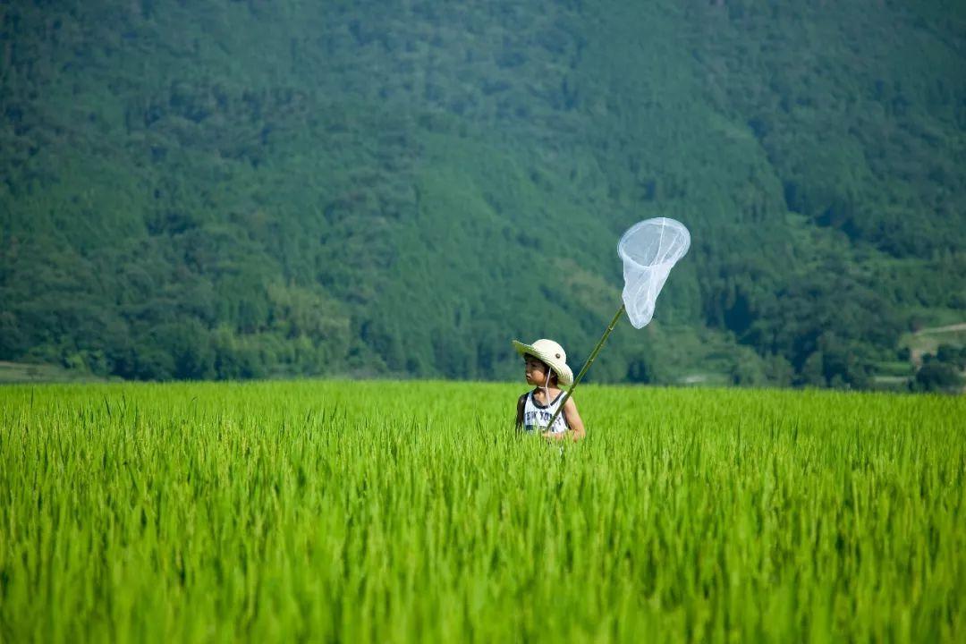 大满镇最新天气预报