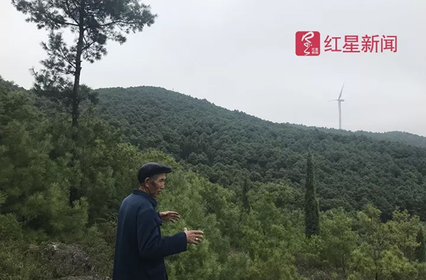 霍吉河林场绿色发展新篇章，最新新闻报道揭秘林场新动态