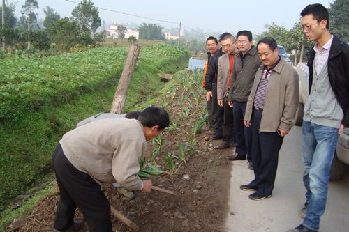 泸县现代化交通网络规划出炉，公路新建助力地方经济腾飞